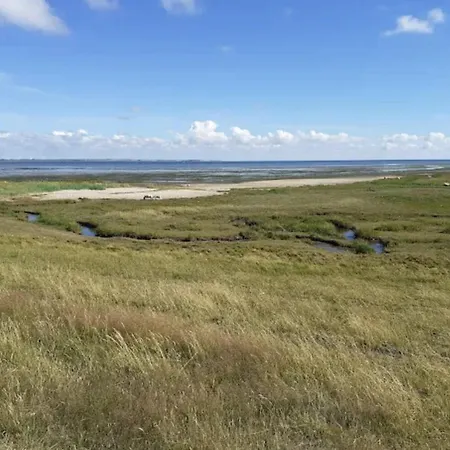 5 Person In Romo-by Traum Appartamento