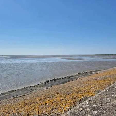 Appartamento 5 Person In Romo-by Traum